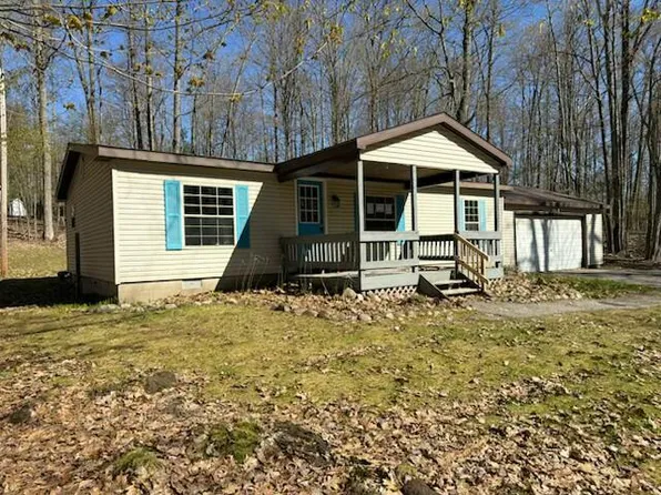 4334 Iverson Dr, Indian River, MI 49749