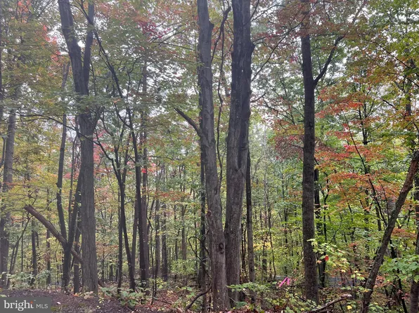 Dale Lot 18, Basye, VA 22810