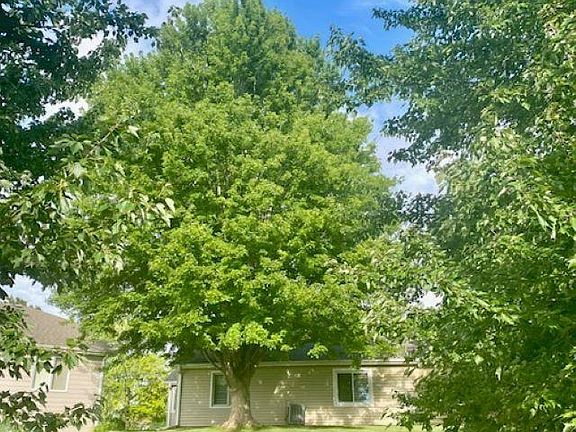 2nd image of 2631 Alicia Ln