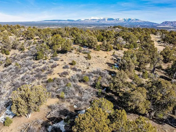 TBD Road 35.3, Mancos, CO 81328