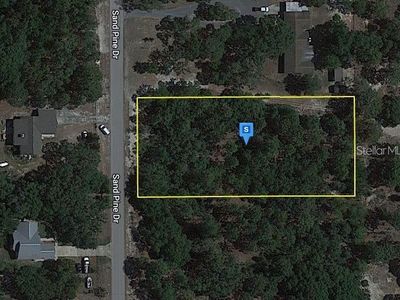 18212 Sand Pine Dr #2215, Spring Hill, FL, 34610