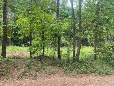 48 Hempstead, Washington, AR, 71862