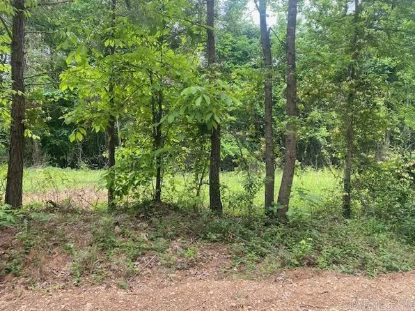 48 Hempstead, Washington, AR 71862