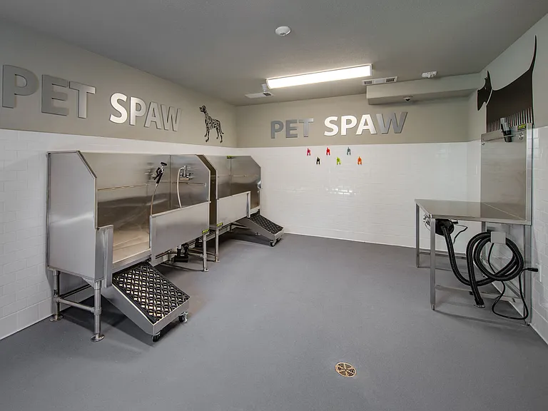 Pet Spa