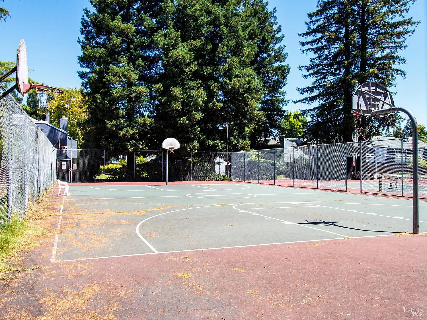 655 Racquet Club Circle - Photo 11