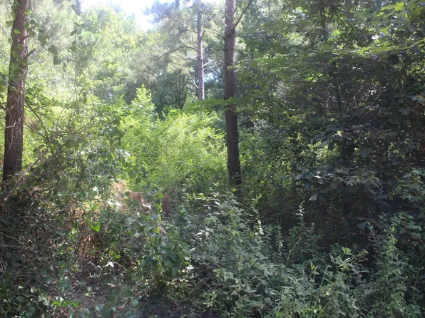 (undisclosed Address), Nashville, AR 71852