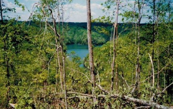 3rd image of N Of Hwy