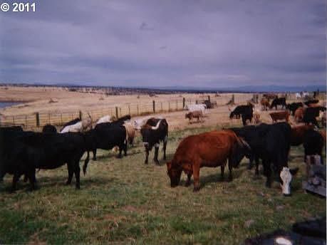 2nd image of 58054 Hwy 402