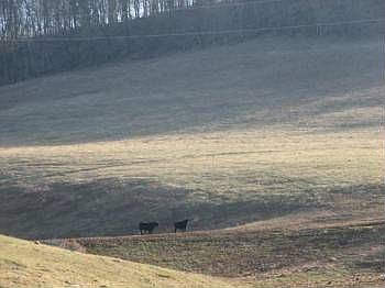 1st image of 3449 Highway 231 S