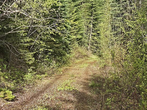 4th image of TRACT 10 Ida Lode Nine Mile Rd
