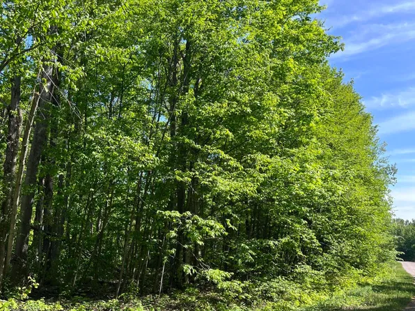 LOT 232 Laming Cir, Elmira, MI 49730