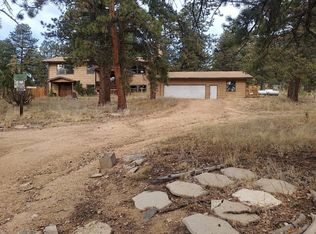 95 Fitzsimmons Rd, Bailey, CO 80421