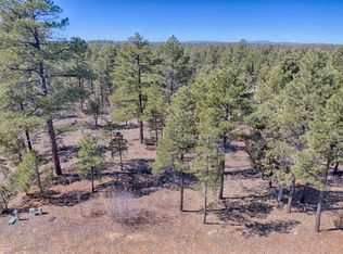 4581 W Hawthorn Rd, Show Low, AZ 85901