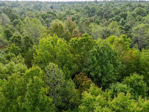 Ccc Rd, Drakes Branch, VA 23937