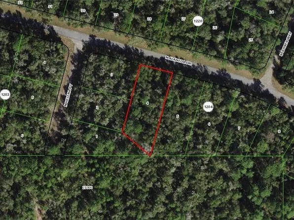 8310 N Alameda Dr, Citrus Springs, FL 34434