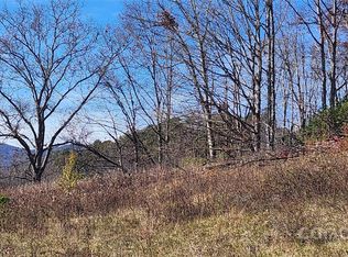 1 Gaylors Branch Rd #1, Balsam Grove, NC 28708