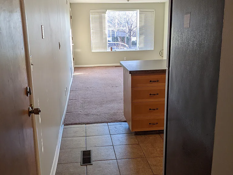 575 E 11th Ave #L — Photo 8