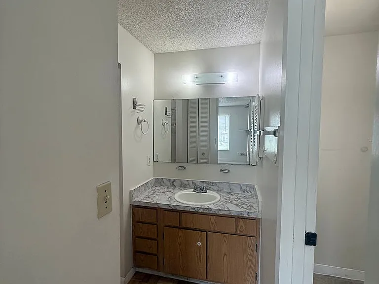 1101 Spring Meadow Dr — Photo 21