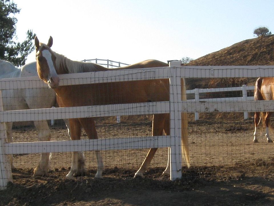 Temecula Wine Country 