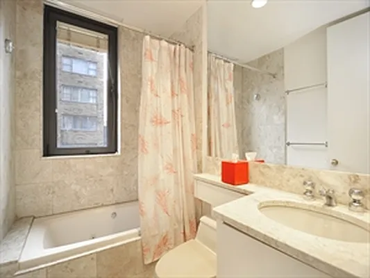 Rented by Luxus Manhattan Realty | media 14