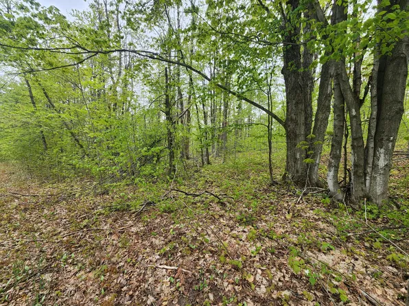 Valleyridge Cir, Alba, MI 49611