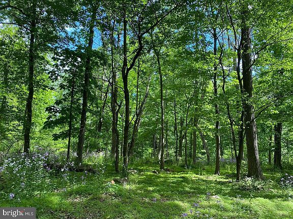 3rd image of 12509 Stottlemyer Rd