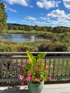 122 Clifford Rd, Plymouth, MA, 02360