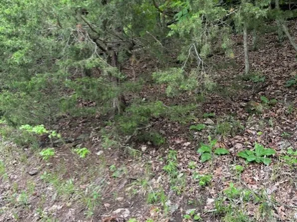 Hannah Lane A #31, Eureka Springs, AR 72631