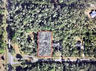 2961 E Angelina St, Inverness, FL 34453