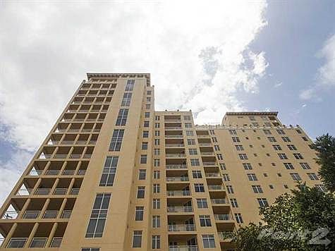 1st image of 4201 Bayshore Blvd Unit 903