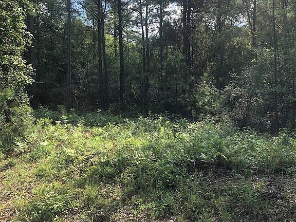 Wooded lot