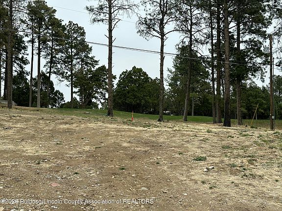 3rd image of 125 Crown Ridge Rd