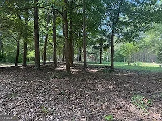 268 Persimmon Dr — Photo 20