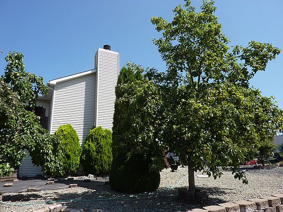 4th image of 5318 E East St