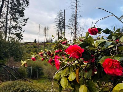 0 Crestview Dr, Paradise, CA, 95969