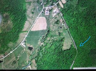 Ivan Mereness Rd LOT 3, Decatur, NY 12197
