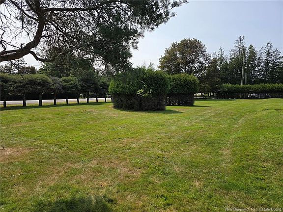 5th image of LOT Oak Ct