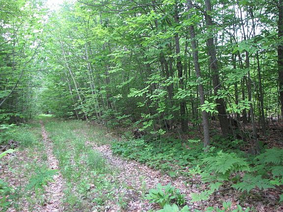 Great start for new driveway