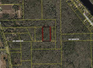 NW Kings Rd, Mayo, FL 32066