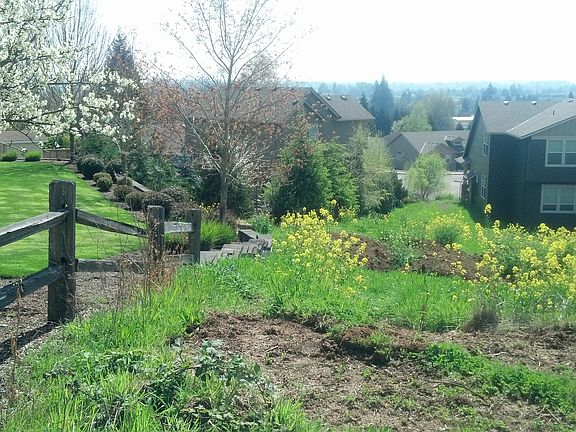 Property Line  along fence