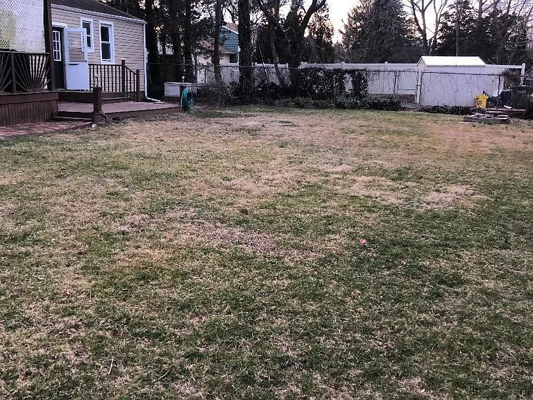 479 Cedar Ave — Photo 14