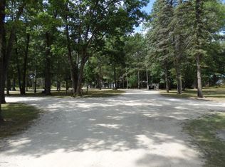 233 Moss Rd, Wellston, MI 49689