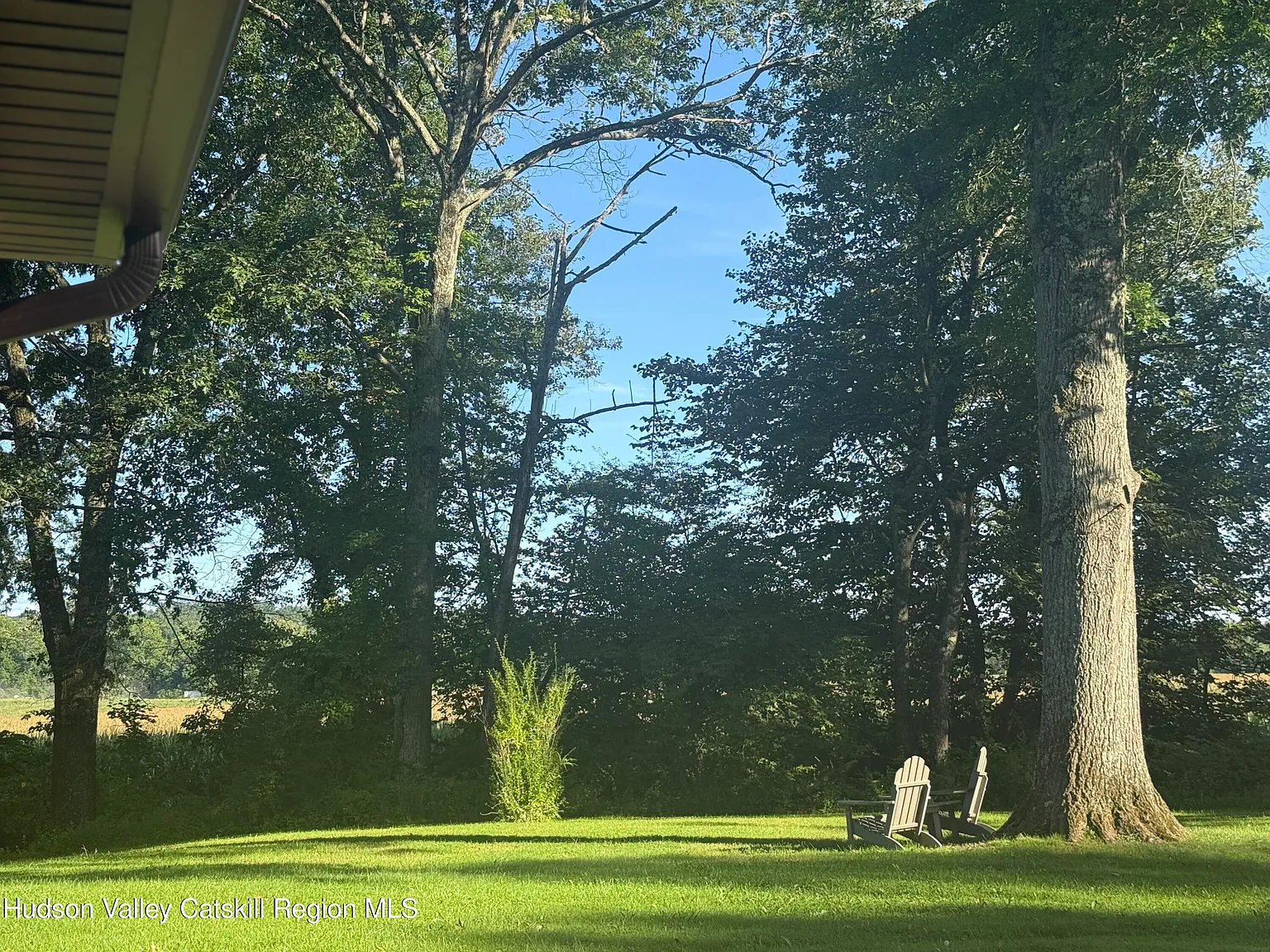 1 bed, 1.0 bath, 1612 sqft, $2,950 — Photo 3
