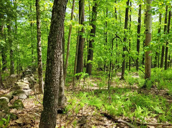 0 Upper Jaffrey Road, Dublin, NH 03444