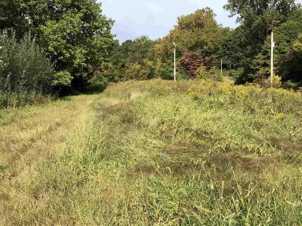 725 Bald Knob Rd, Alto Pass, IL 62905