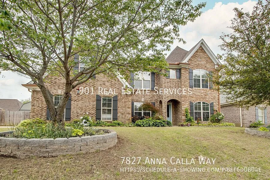 7827 Anna Calla Way