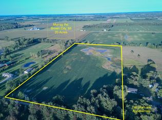 Murray Rd, Brown City, MI 48416