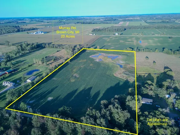 Murray Rd, Brown City, MI 48416