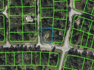 3203 Lake June Blvd, Lake Placid, FL 33852