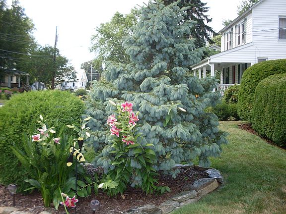 driveway side landscaping